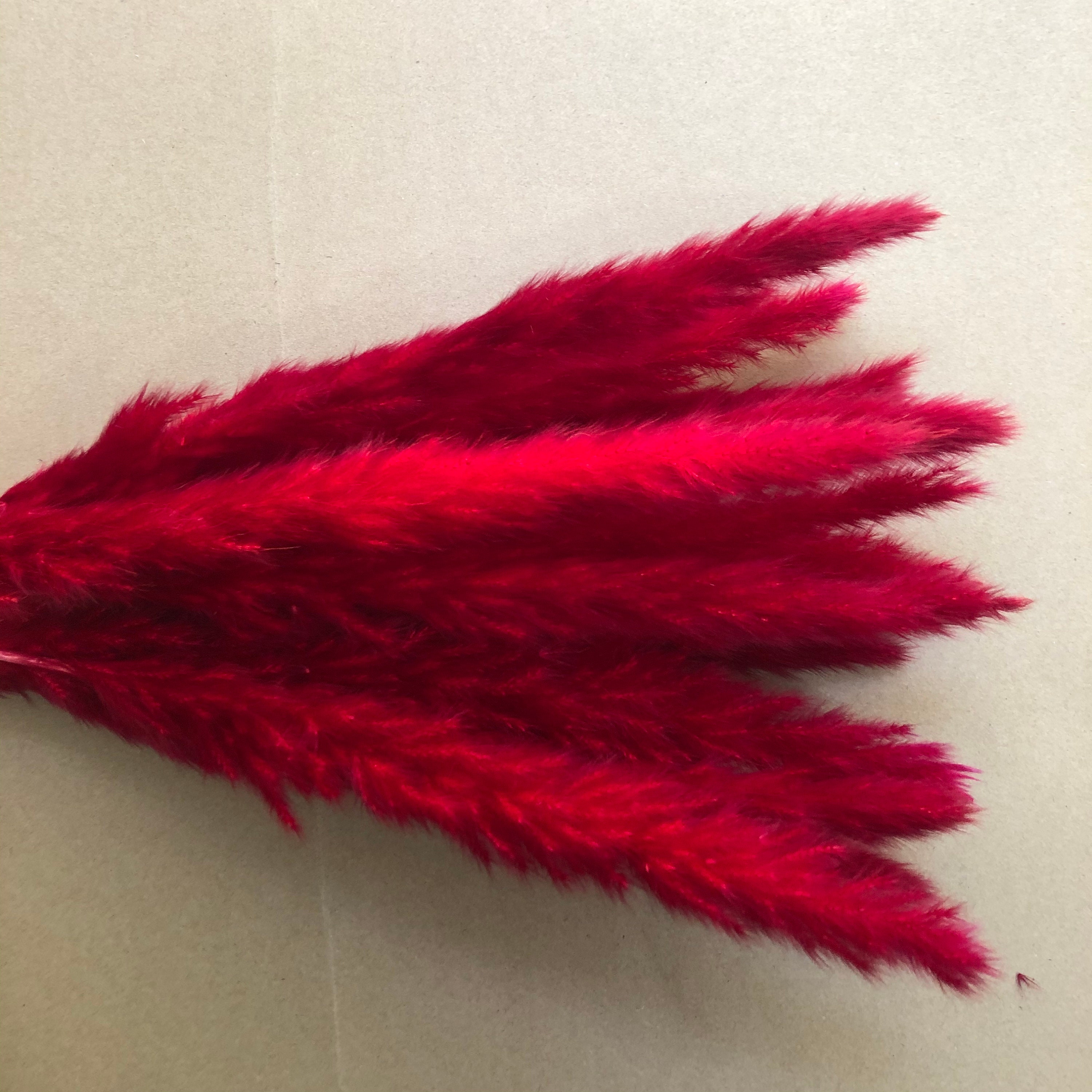 High quality reeds dried flowers for interior decoration Etsy