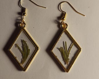 Handmade Rosemary Dangle Earrings | Real Plant Jewelry