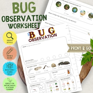 Puede incluir: Una hoja de trabajo de observación de insectos en papel blanco con secciones para dibujar, registrar partes del cuerpo, colores, movimiento y ubicación. La página incluye una regla impresa en el lateral, ilustraciones de insectos y el texto BUG OBSERVATION.