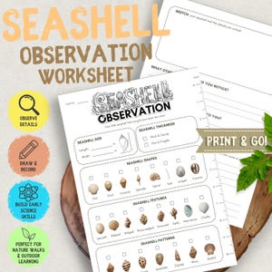 May include: A printable seashell observation worksheet featuring sections for sketching, recording seashell size in inches, thickness, shapes, textures, and patterns. The document includes illustrations of various shells and a ruler along the side.