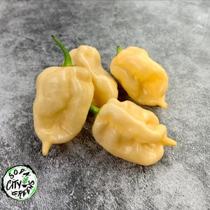 Peach Ghost Pepper Seeds