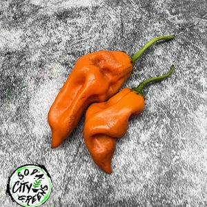May include: Two bright orange peppers with green stems are displayed against a textured gray background. The peppers have a wrinkled appearance. A circular logo with the text "Soda City Green" is in the lower left corner.