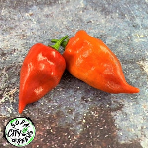 Habanada Heatless Habanero Pepper Seeds