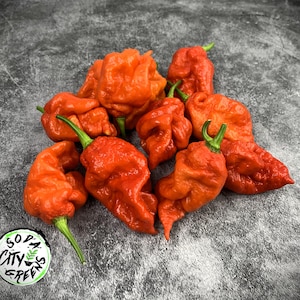 Reapion (Reaper x Scorpion Hybrid) Hot Pepper Seeds