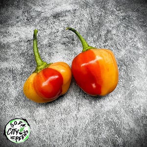 Peppapeach Stripey Pepper Seeds