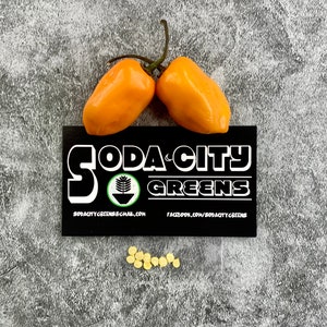 Orange Habanero Pepper Seeds