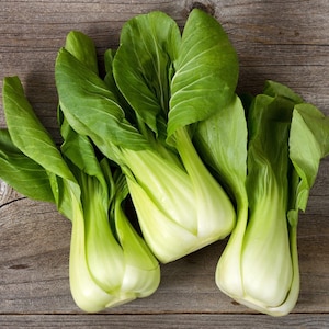 Bok Choy Pak Choi Seeds