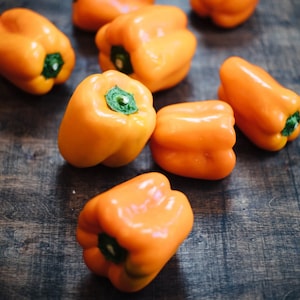 Orange Sun Sweet Bell Pepper Seeds