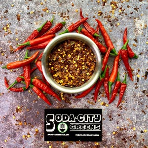 Thai Bird (Birds Eye) Chili Pepper Seeds