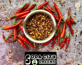 Thai Bird (Birds Eye) Chili Pepper Seeds