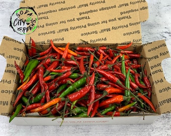 Thai Bird Chili Pepper Boxes (Freshly Picked!)