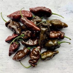 Chocolate Ghost Pepper Seeds