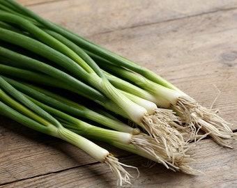 Green Onion (Bunching Type) Seeds