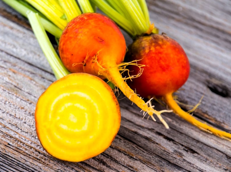 Golden Beet Seeds - Etsy