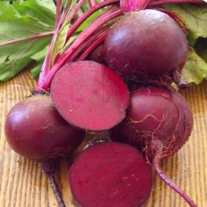 Detroit Dark Red Heirloom Beet Seeds