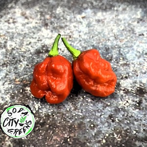 Sweet Moruga Heatless Scorpion Pepper Seeds
