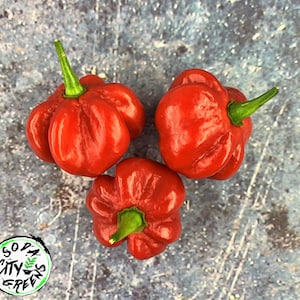 Sweet Bonnet (Heatless Scotch Bonnet) Pepper Seeds