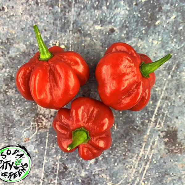 Zoete Bonnet (Heatless Scotch Bonnet) Peperzaden 10+