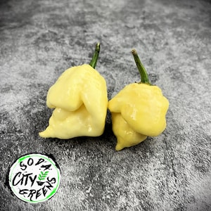 White Moruga Scorpion Pepper Seeds