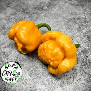 Bahamian Goat Pepper Seeds