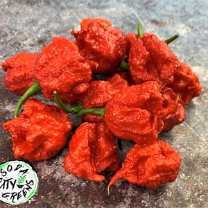 Carolina Reaper Pepper Seeds