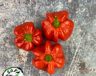 Red Scotch Bonnet Pepper Seeds