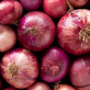 Red Onion (Heirloom) Seeds