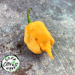 Star Scream Pepper Seeds