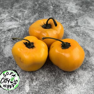 Manzano Pepper Seeds