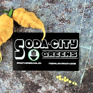 Jay&#39;s Peach Ghost Scorpion JPGS Pepper Seeds
