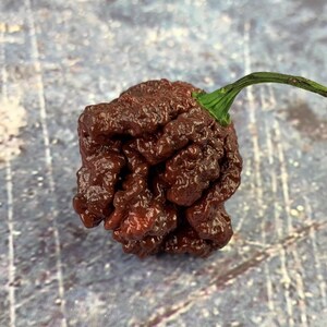 Naglah Beast Caramel Pepper Seeds