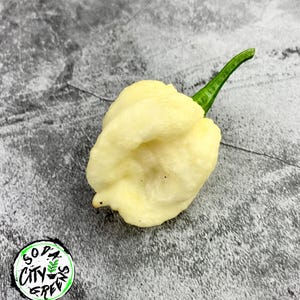 7 Pot White Pepper Seeds