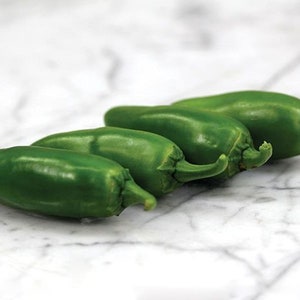 Coolapeño (Heatless Jalapeno) Hybrid Pepper Seeds
