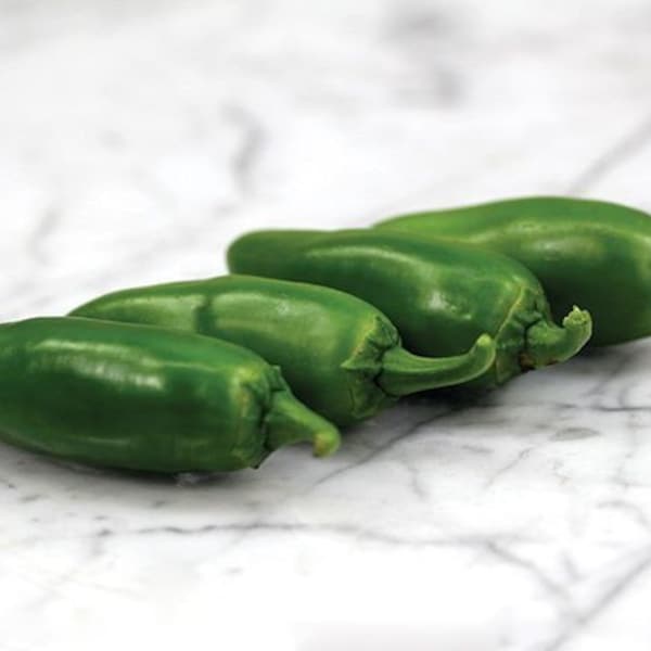 Coolapeño (Heatless Jalapeno) Hybrid Pepper Seeds 10+