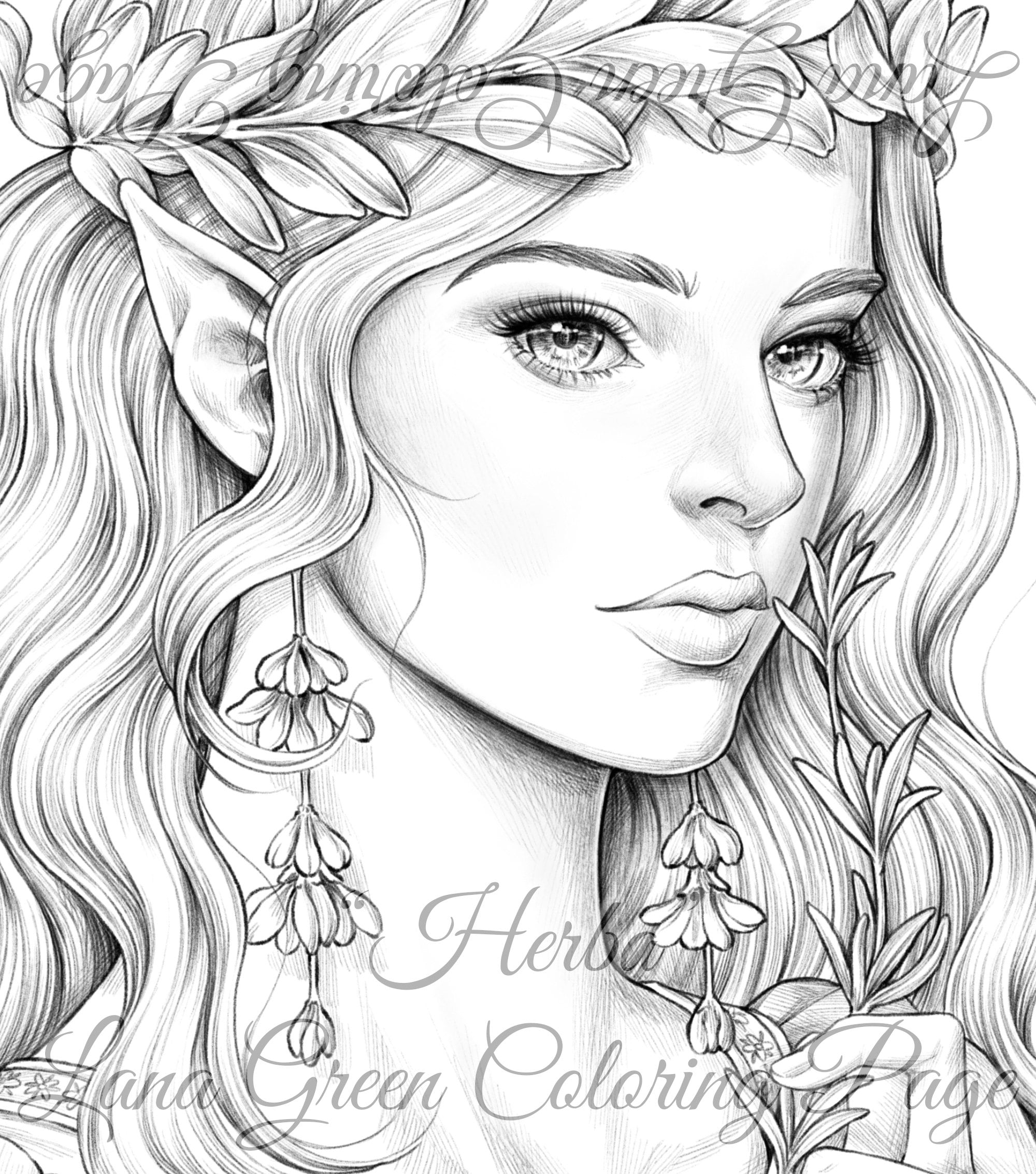 Herba Coloring Page for Adults Grayscale Coloring Page Instant Download  Lana Green Art JPEG, PDF -  Norway