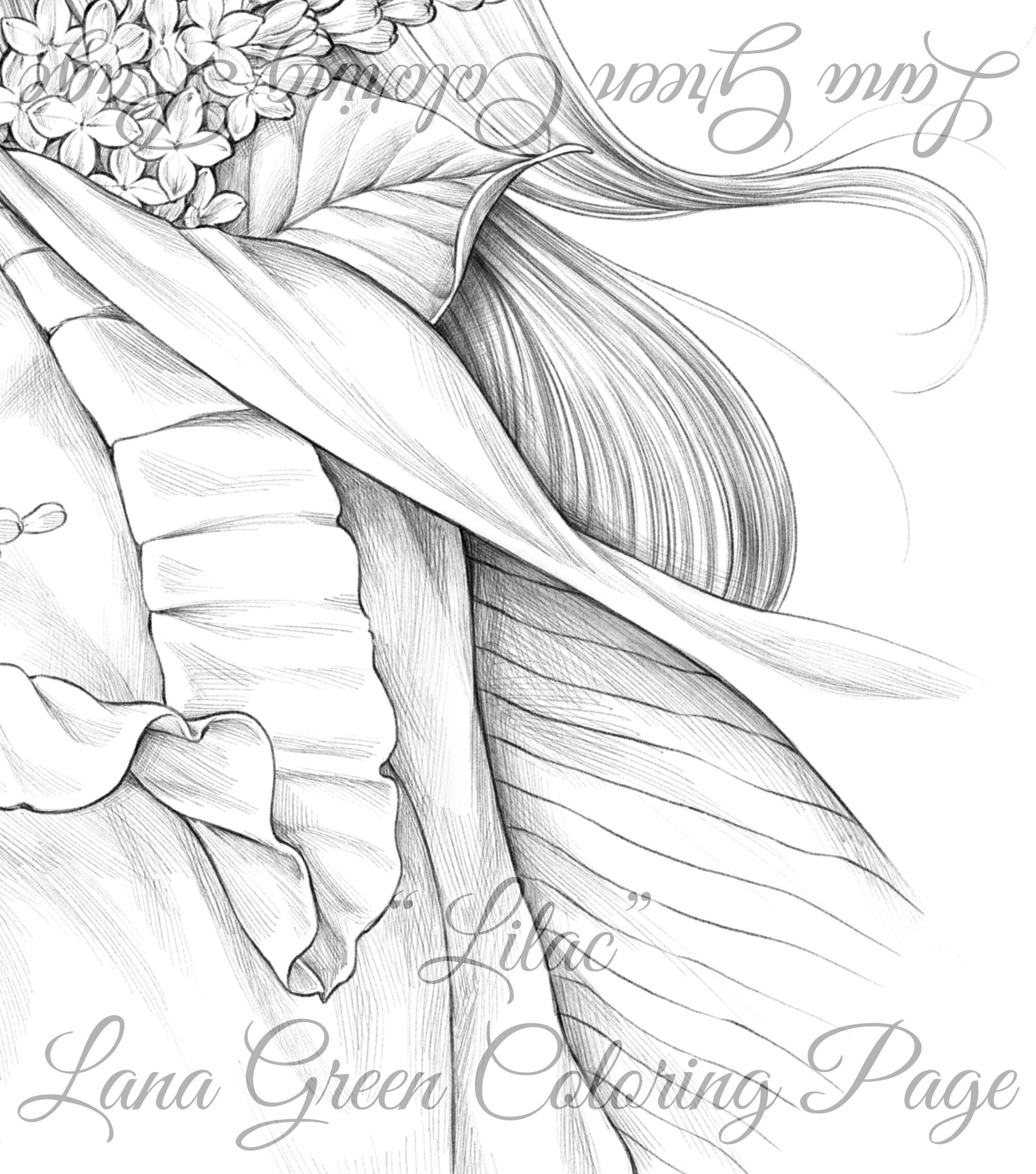 Lilac Coloring Page for Adults Grayscale Coloring Page Etsy