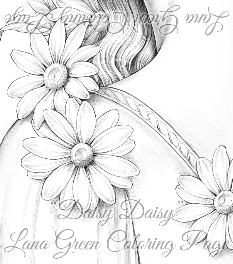 Daisy Daisy Coloring Page for Adults Grayscale Coloring - Etsy