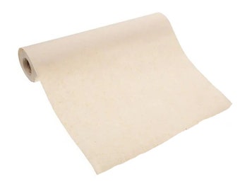 Carta per calligrafia cinese giapponese, pratica di scrittura e disegno, carta di riso Xuan senza griglie, carta Xuan grezza beige, carta sottile, ecologica