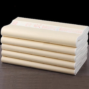 Carta Xuan - Carta di riso - Carta per calligrafia di colore naturale - Carta fatta a mano - Carta sottile e fine - Acquerello - Organica - Artigianato ecologico