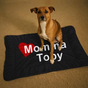 Puede incluir: Una cama para perro negra con un corazón rojo y el texto "Momma Toby" bordado en ella. Un perro marrón y blanco está sentado en la cama.