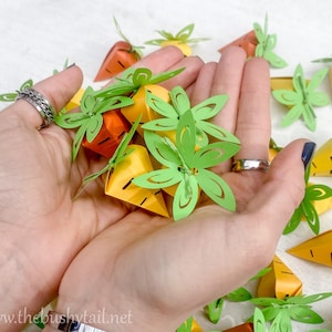 Baby Carrots 6 Pack, Rabbit Treats, Toys for Bunny, Small Pet Treats, Bunny Treats, Healthy Treat for Rabbits, Guinea Pigs, Small Pets