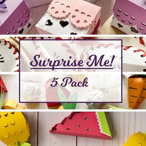 Surprise Me 5 Pack, Rabbit Treats, Toys for Bunny, Small Pet Treats, Bunny Treats, Healthy Treat for Rabbits, Guinea Pigs, Small Pets