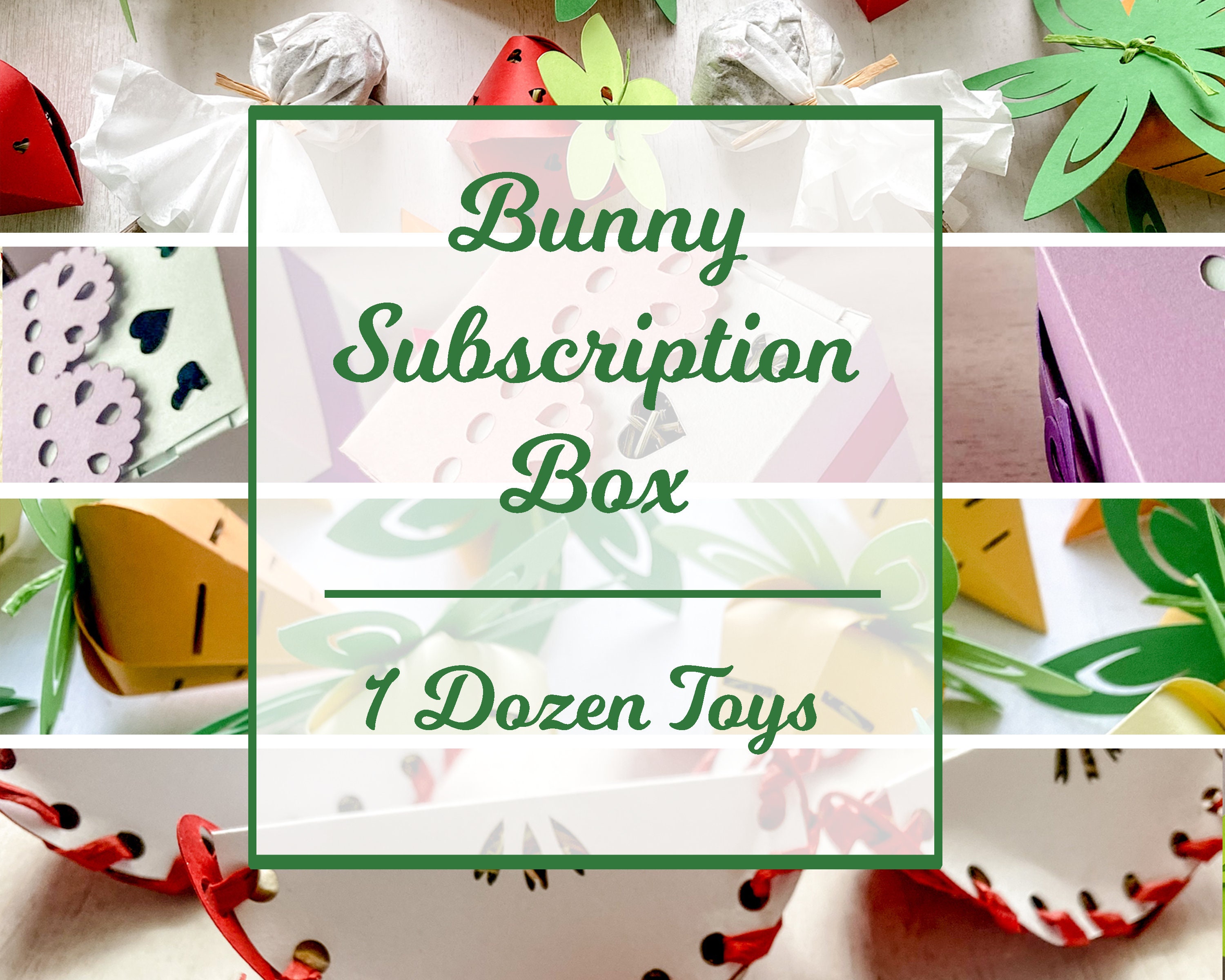Rabbit subscription box discount