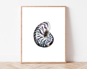 Watercolor Nautilus Instant Download Print | Seashell Illustration | Grand Millennial Art | Nantucket Decor | Nautical Artwork| Marine Life