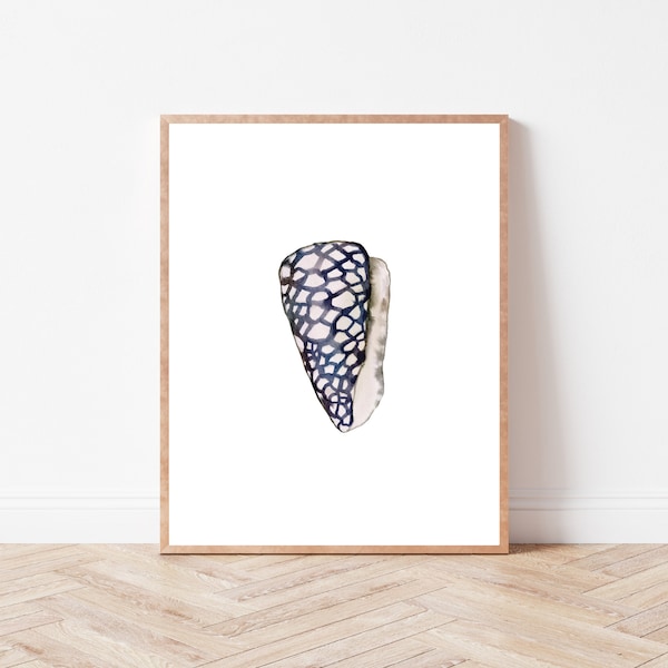 Watercolor Cone Shell Instant Download Print | Sea Shell Illustration | Grand Millennial Art | Nantucket Decor | Coastal Grandmother Poster