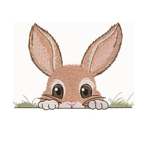 May include: A brown bunny rabbit with large ears peeks over a patch of green grass. The bunny has brown fur, large brown eyes, and a pink nose.