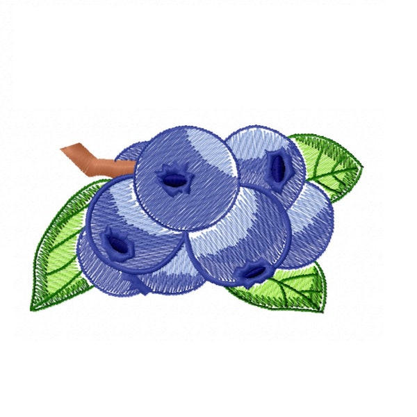 Blueberry embroidery design - 5 sizes Instant download