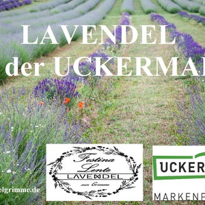 Lavendelsäckchen im 10er-Set aus der Uckermark Bild 3