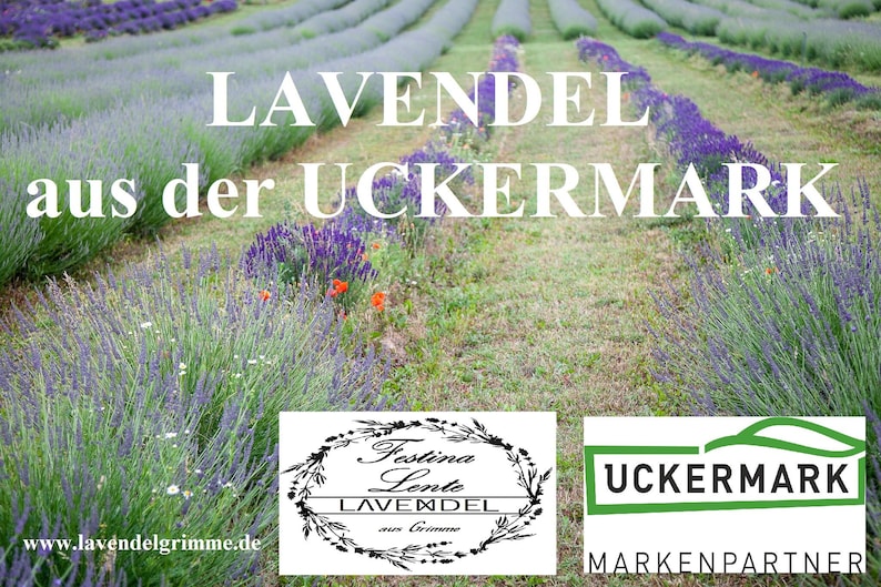 Lavendelsäckchen im 10er-Set aus der Uckermark Bild 3