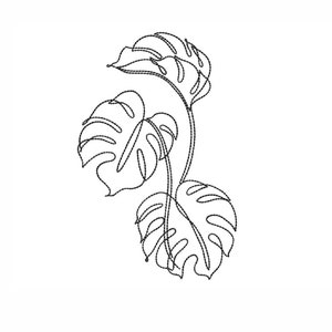 Monstera embroidery design
